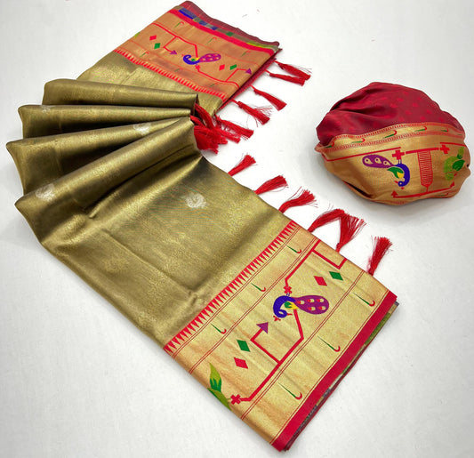 AMRAPALI TISSUE PAITHANI