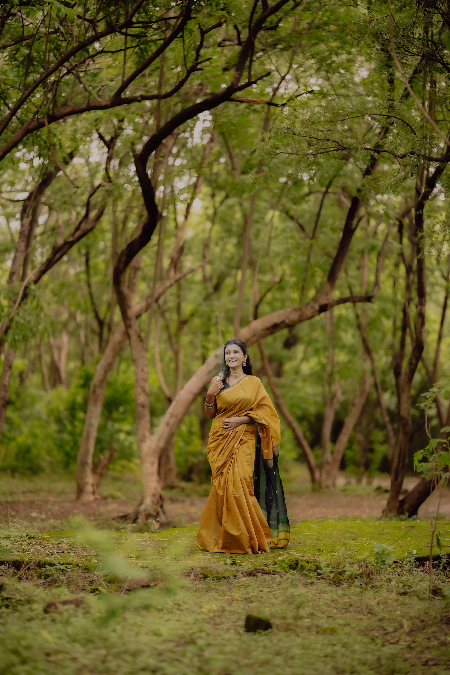 MAHESHWARI SILK COTTON SAREE