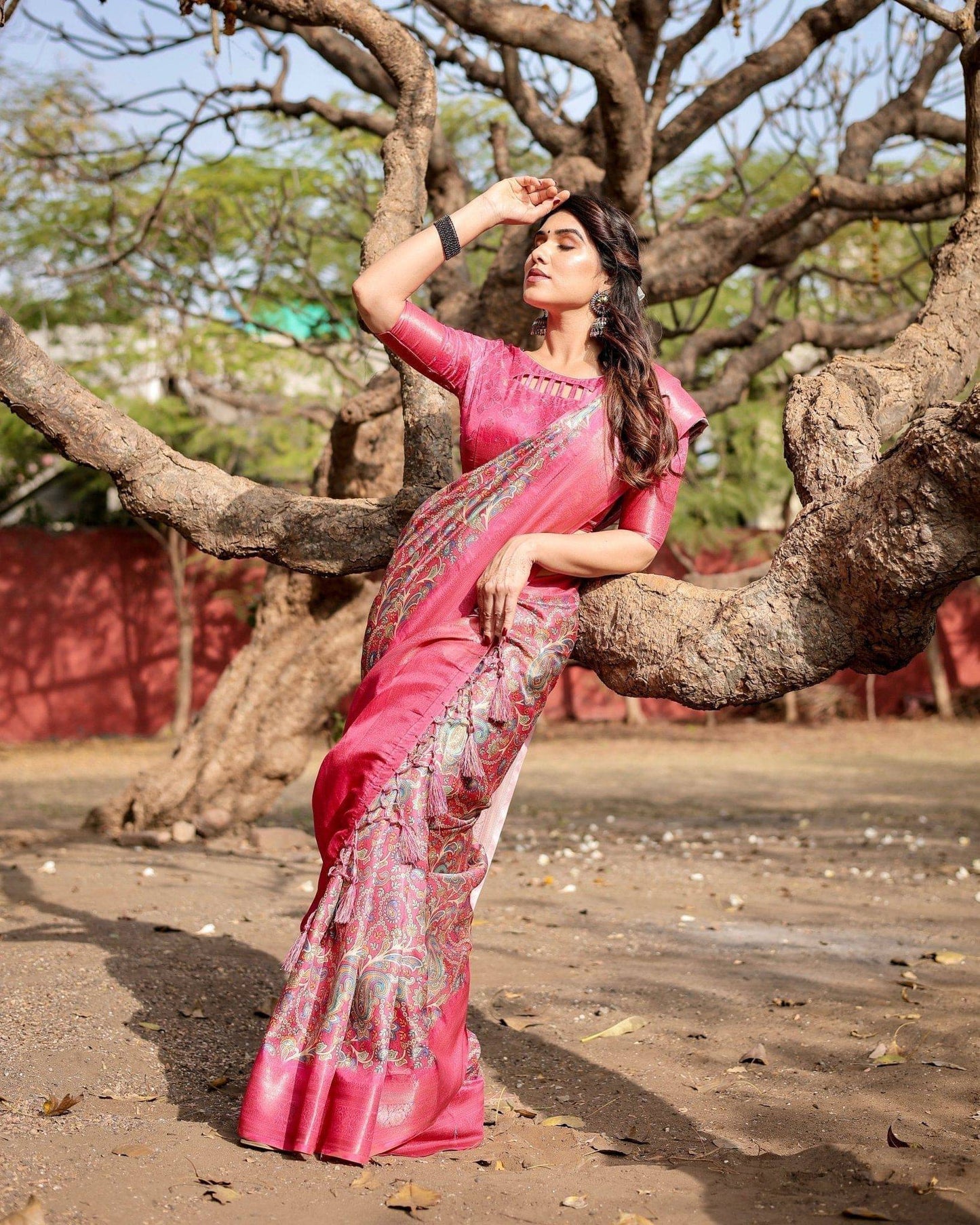 SHRAVANI BANARAS SILK SAREE
