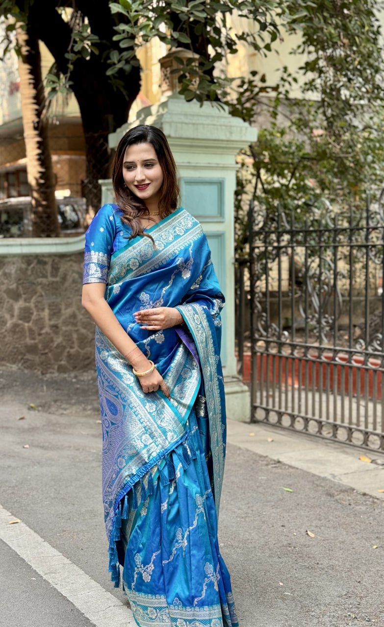 Diya's silk saree