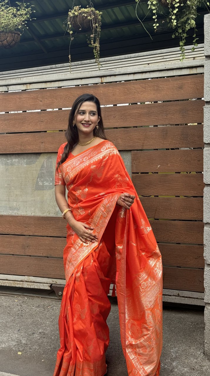 Diya's silk saree
