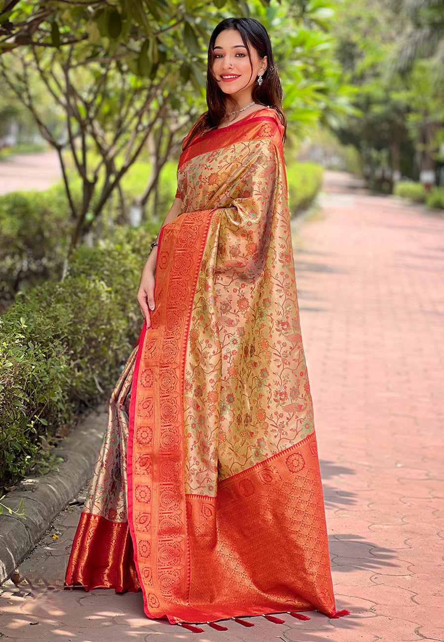 LATIKA DHARMAVARAM SILK SAREE