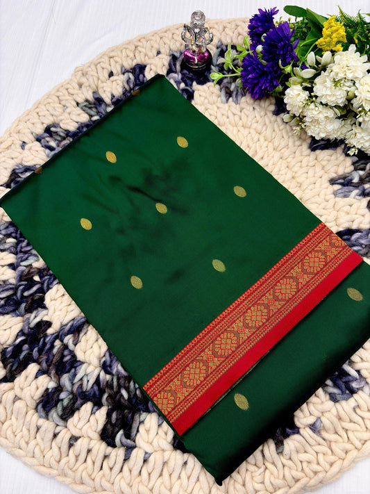 TRADITIONAL PAITHANI