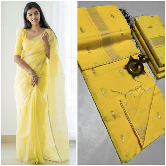MAHESHWARI SILK COTTON SAREE